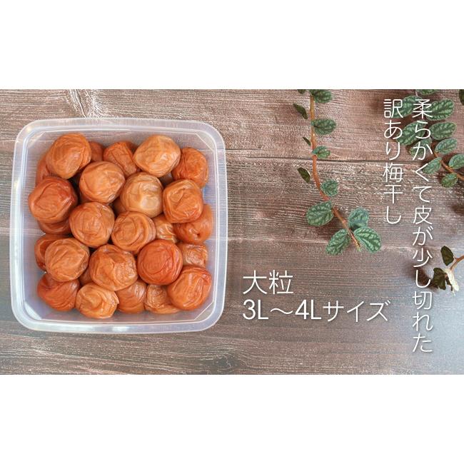 梅干し 訳あり 石神さんちの訳あり梅干し 900g 塩分7％【 わけあり