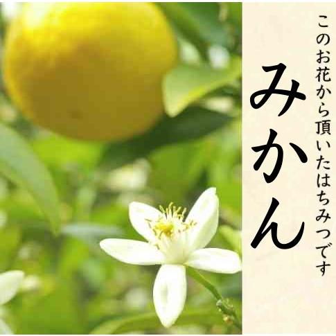 【販売再開未定】はちみつ 国産 非加熱 無添加 純粋 愛知県産 産地直送 知多半島産みかん蜂蜜550g入 | ブランド登録なし | 03