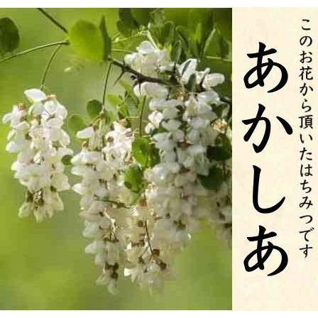 はちみつ 国産 無添加 非加熱 純粋  産地直送 国産あかしあ蜂蜜200g入 | ブランド登録なし | 03