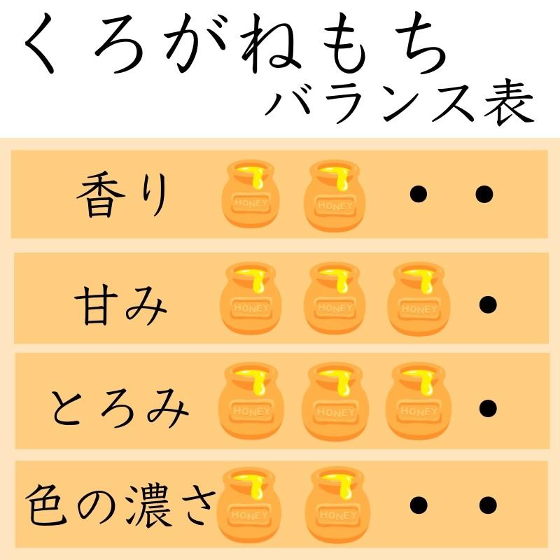はちみつ 国産 非加熱 無添加 純粋 愛知県産 産地直送 知多半島産くろがねもち蜂蜜28g入 | ブランド登録なし | 01