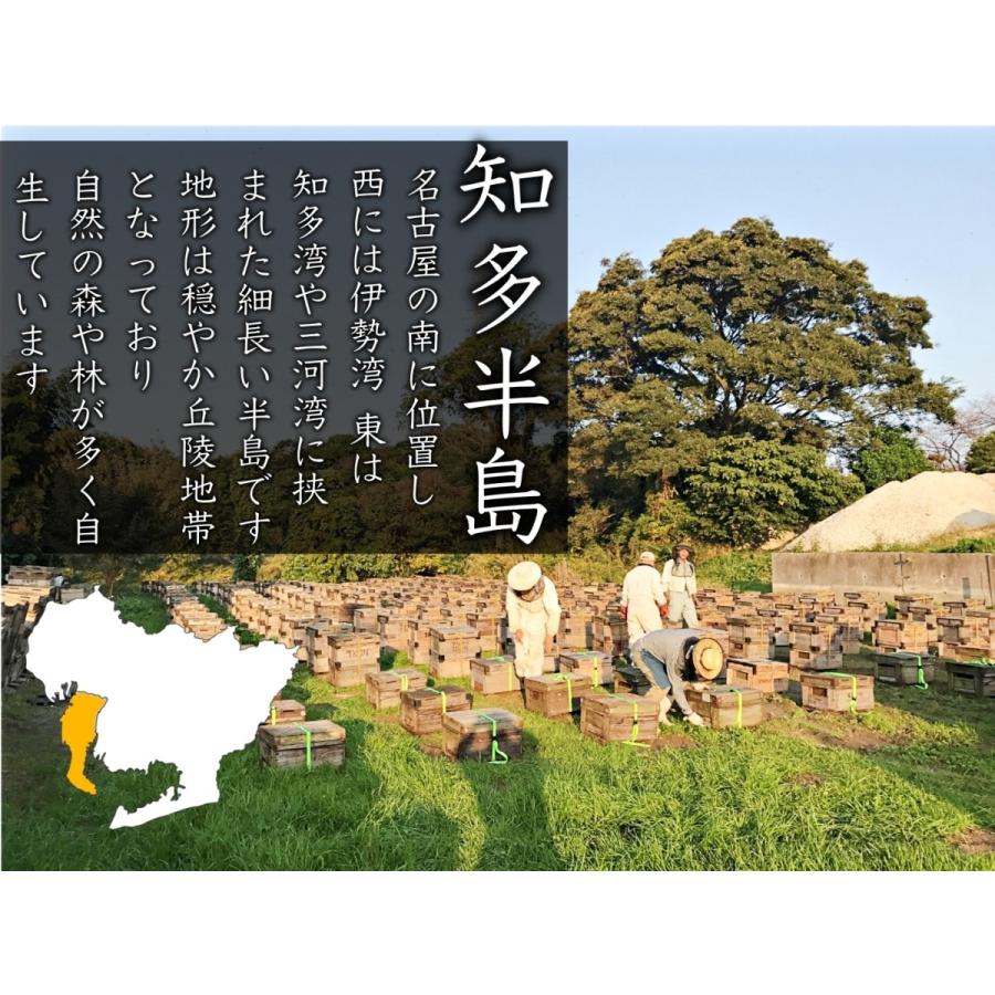 はちみつ 国産 非加熱 無添加 純粋 愛知県産 産地直送 知多半島産くろがねもち蜂蜜28g入 | ブランド登録なし | 03
