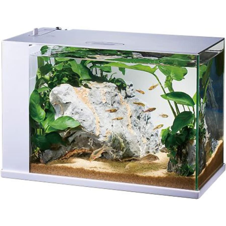 【新品未使用】GEX RAKU TERIOR ガラス水槽 ホワイト ジェックス GEX ガラス AQUARIUM ラクテリア 水換え簡単水槽 サカナ用