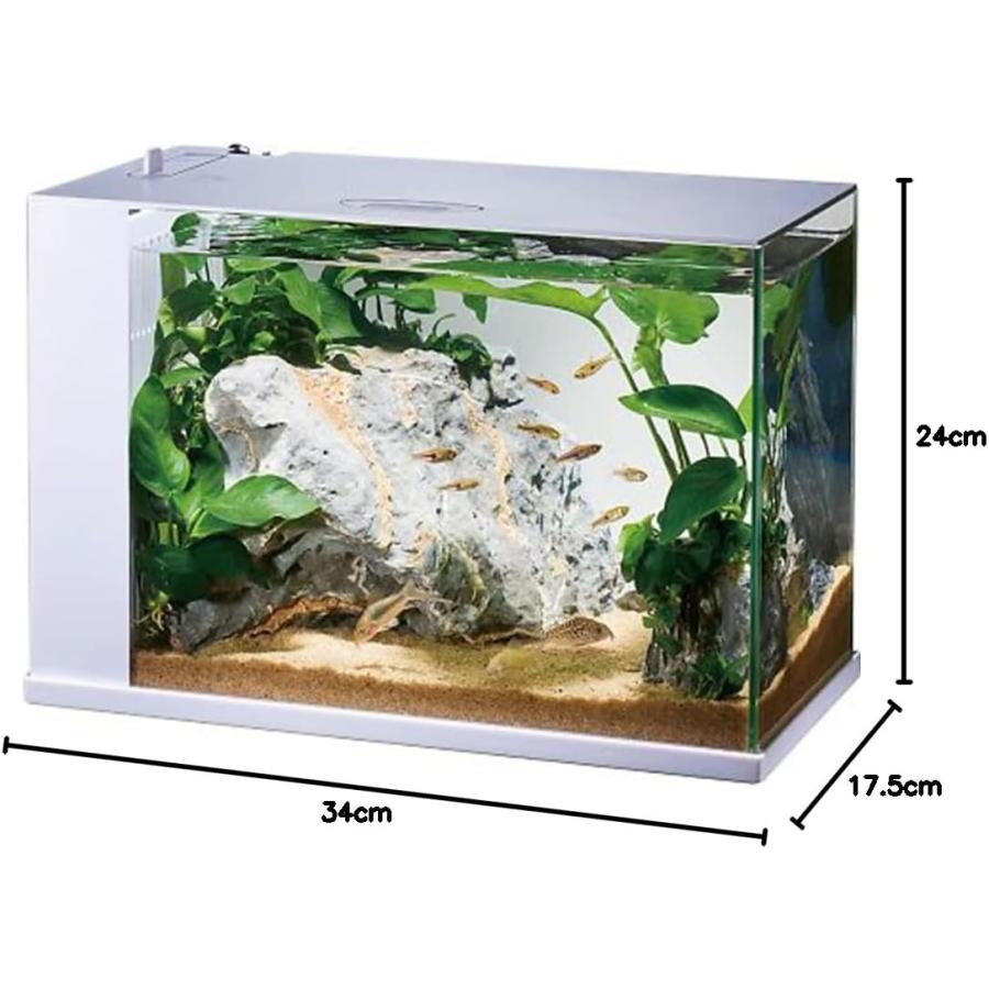 【新品未使用】GEX RAKUTERIOR ガラス水槽 ホワイト ジェックス GEX ガラス AQUARIUM ラクテリア 水換え簡単水槽 サカナ用
