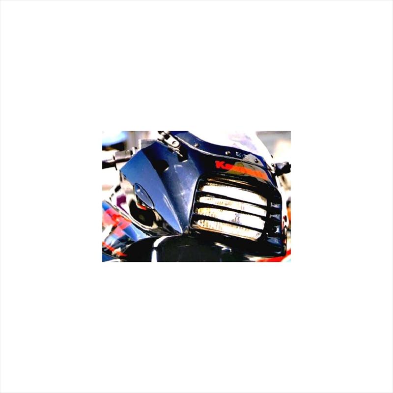 haru様確認ページ② バイクパーツ 電装系 プレジャー ヘッドライトルーバー BLK PK1010