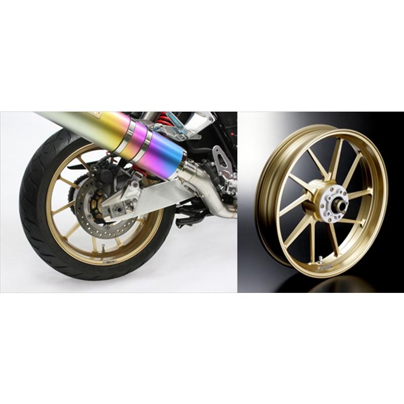 ゲイルスピード R 500-17 GLD TYPE-R SV650 ABS 16-22/X 20-22