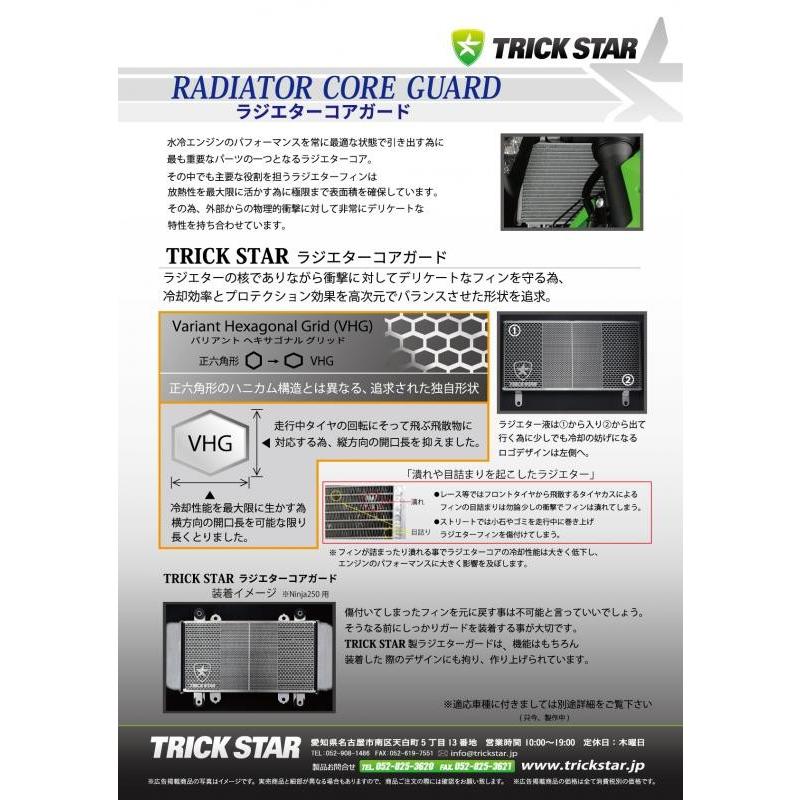 夏期間限定☆メーカー価格より68%OFF!☆ バイク 冷却系 トリックスター