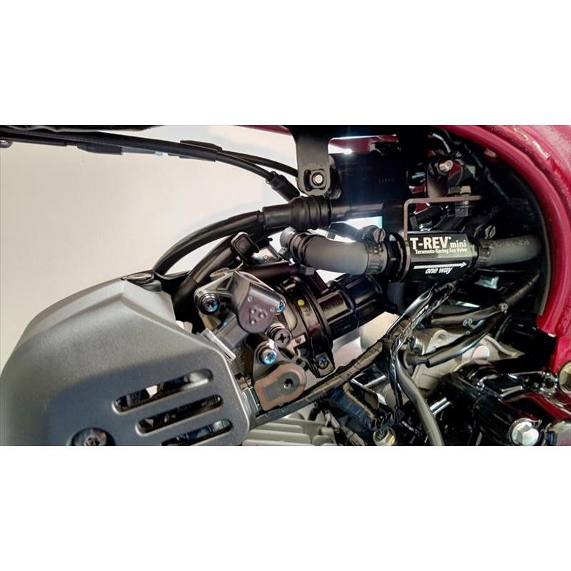 バイク T-REVmini ブラック Dax125 JB04 SPキット 4263-mini 取寄品