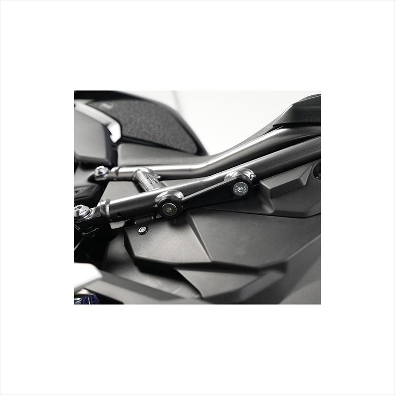 バイクパーツ ステップ アールアンドジー Rear Footrest Plates:BLACK