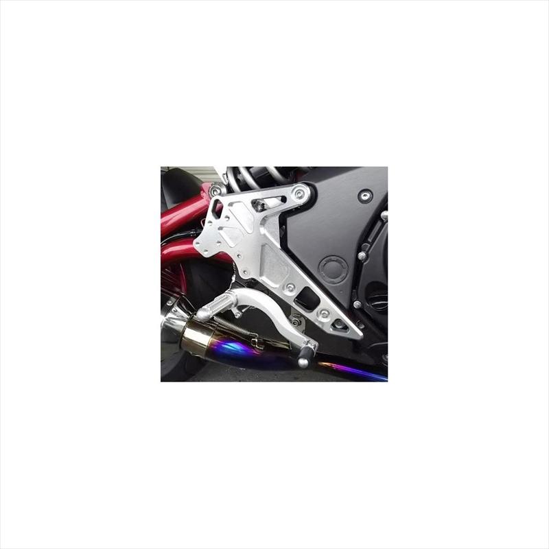 やーさん様 ビート ハイパーバンク 固定式 SLV 0111-KC9-20 NINJA400 14-17 : NB