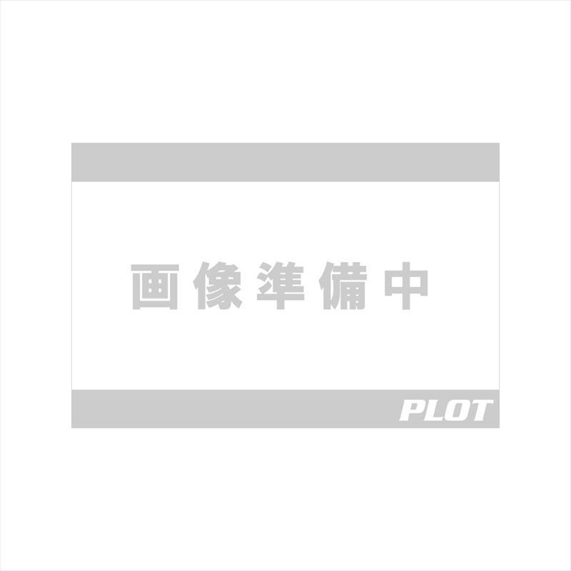 ビート ナサート-Evo TYPE2 T2 クリアTI 0223-KD3-50 ZX-14R 16- : NB