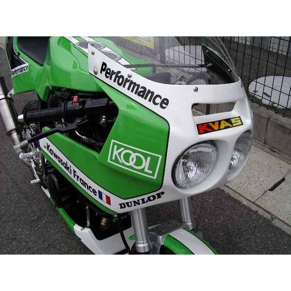 バイク PLEASURE プレジャー KR110アッパーカウル FRPクロゲル KSR110 PK30704 取寄品 セール｜hatoya-parts