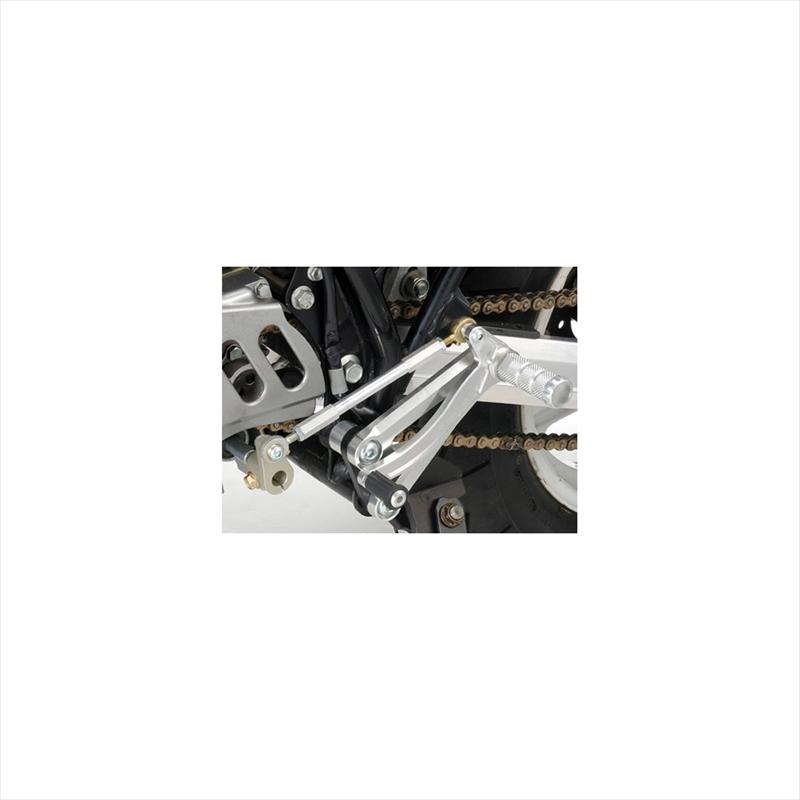 バイクパーツ ステップ ツルノテクニカルサービス レーシングステップ