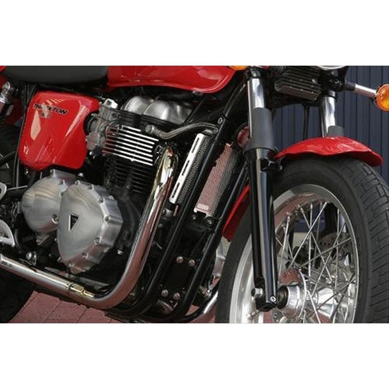 バイクパーツ 冷却系 アエラ AELLA オイルクーラープロテクター