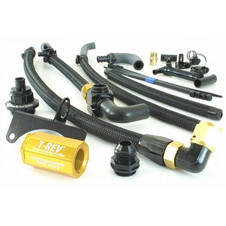 TERAMOTO T-REVαシステムSPフルキット ゴールド ZRX1200R／S (テラモト SP-4795)