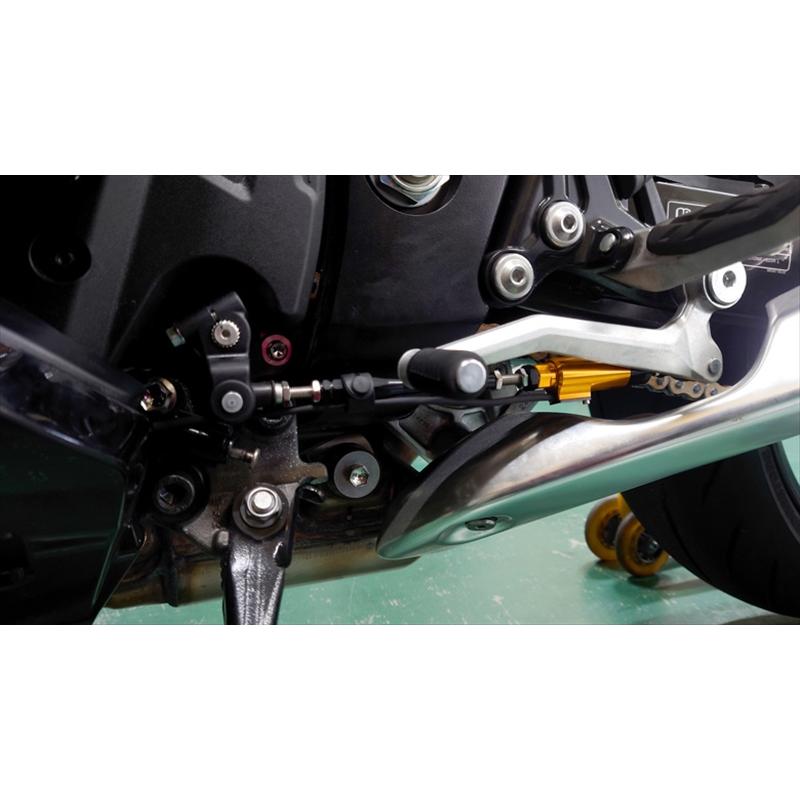 バイク 電装系 テラモト シフタースイッチ ゴールド Hayabusa 21- 4435