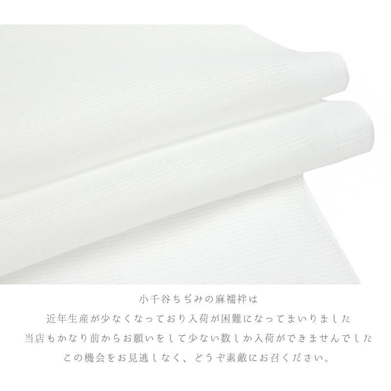長襦袢 小千谷ちぢみ 麻絽襦袢 本麻 夏物 白 オーガニックラミー 越後