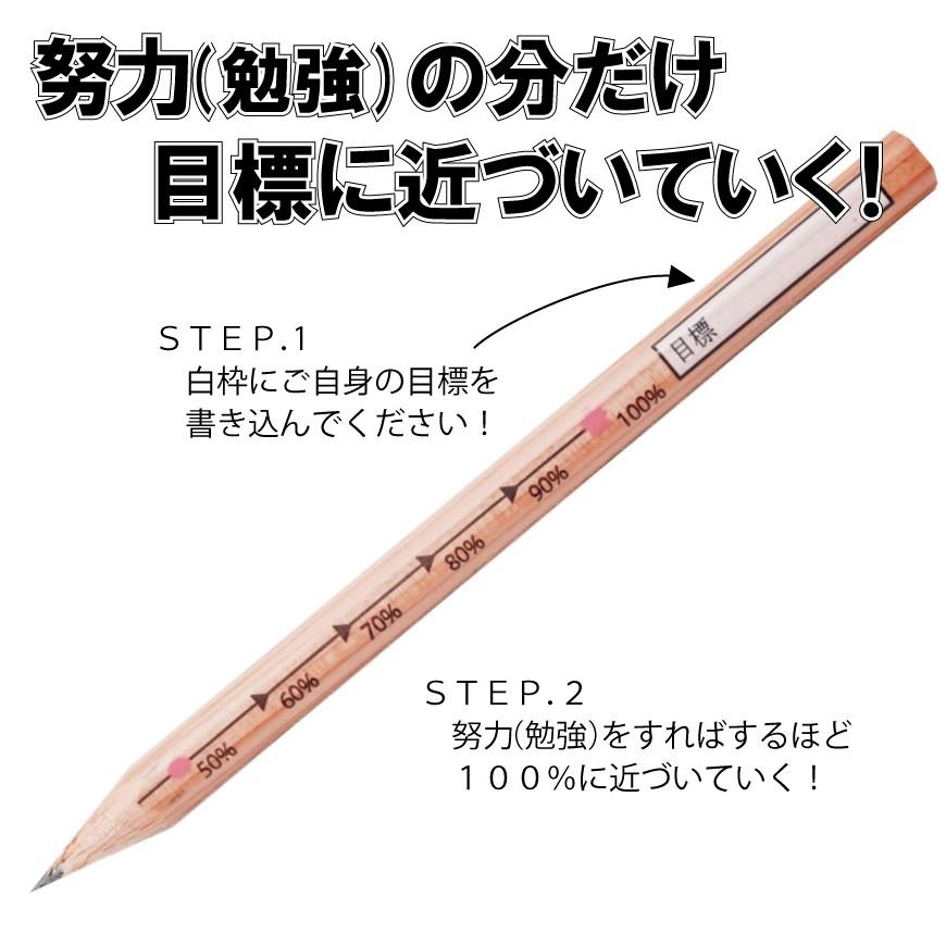 ゆめ咲かせ努力えんぴつ（3本入り）送料￥250(8個まで) : 発明学会