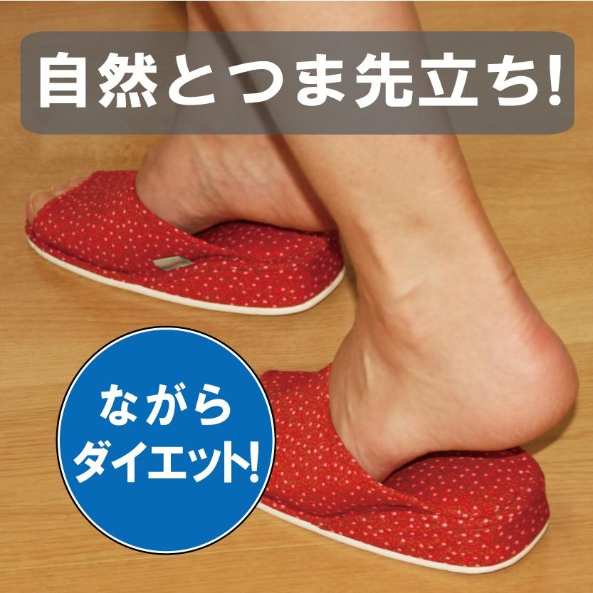 初恋ダイエットスリッパ （布）テレビ朝日 じゅん散歩 で紹介されました |  | 09