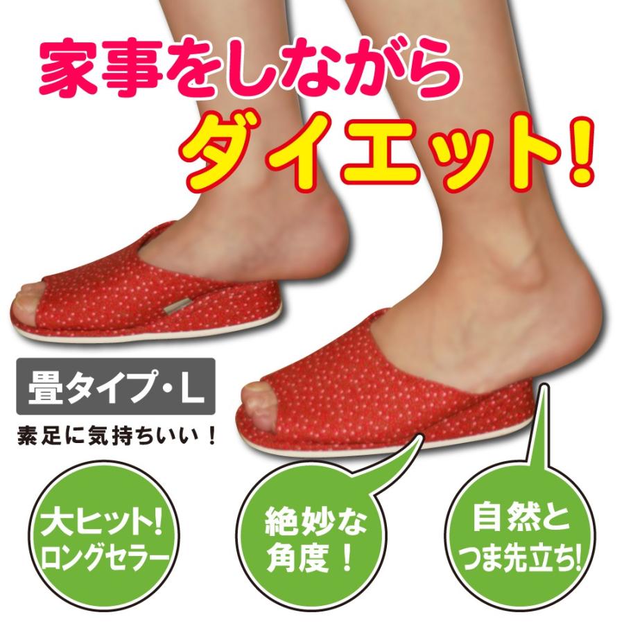 家事をしながらダイエット 自然とつま先運動に ギガランキングｊｐ