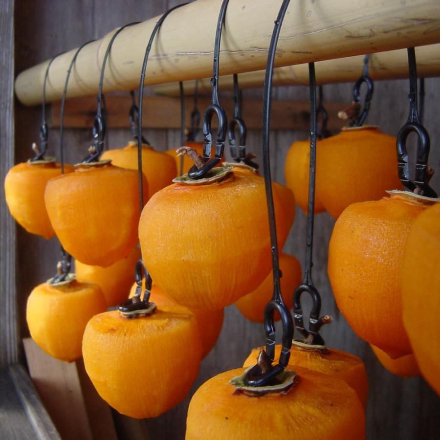 干し柿用　柿のれん　柿クリップ　1ロール 中〜大玉用　たくさん干したい方用！ 干し柿用 柿のれん 柿クリップ 1ロール 中〜大玉用 干し柿用 柿のれん