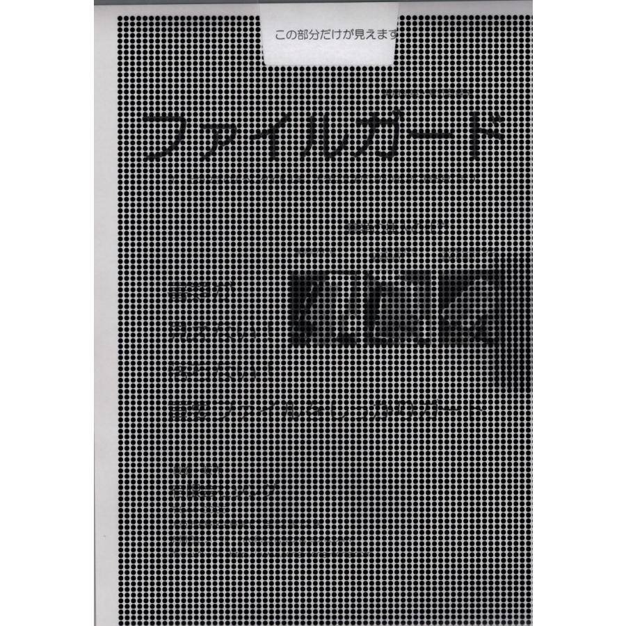 ファイルガード（５枚セット） （クリアファイル 見えない 落ちない）送料￥250(5個まで)｜hatsumei-net