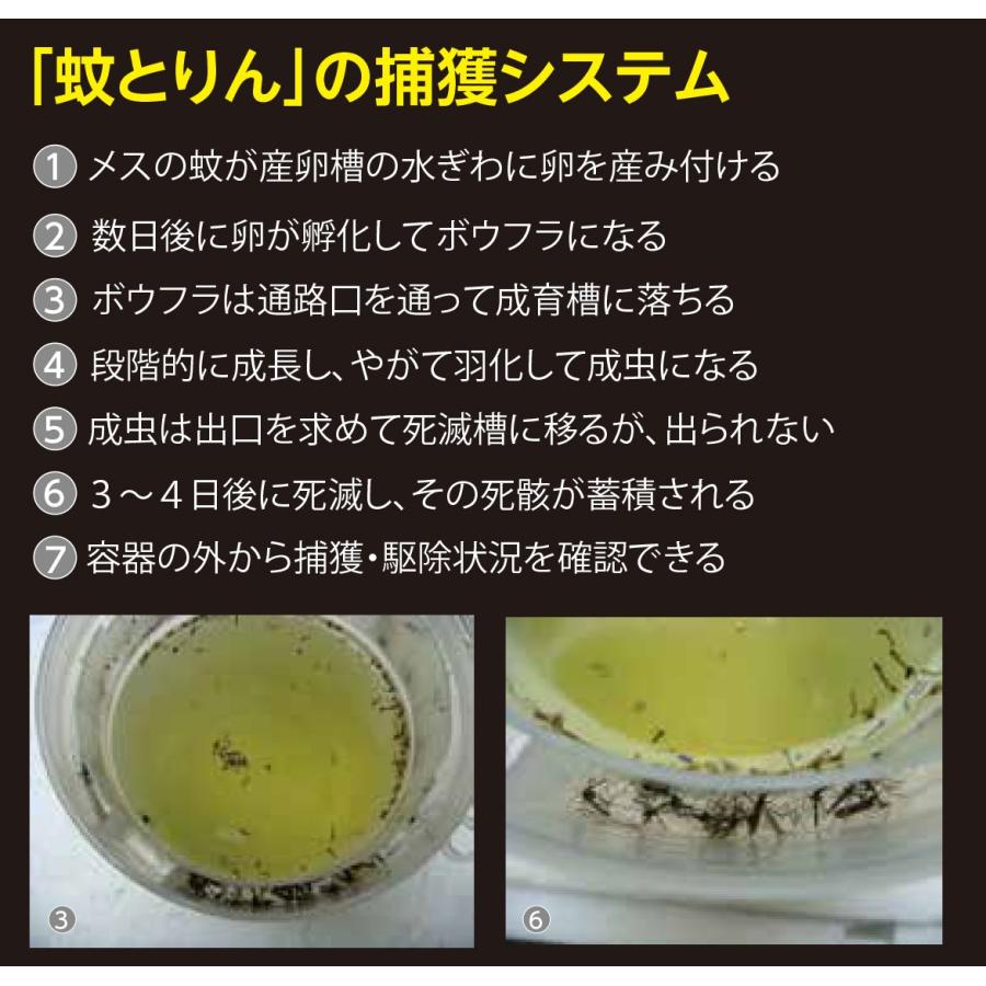 蚊とりん 5個以上で送料無料 ジカ熱 デング熱 チクングニア熱対策 ボウフラ駆除 Sdgs 電源不要 薬剤不要で環境にやさしい Ko Katorin 発明学会ネットショップ 通販 Yahoo ショッピング