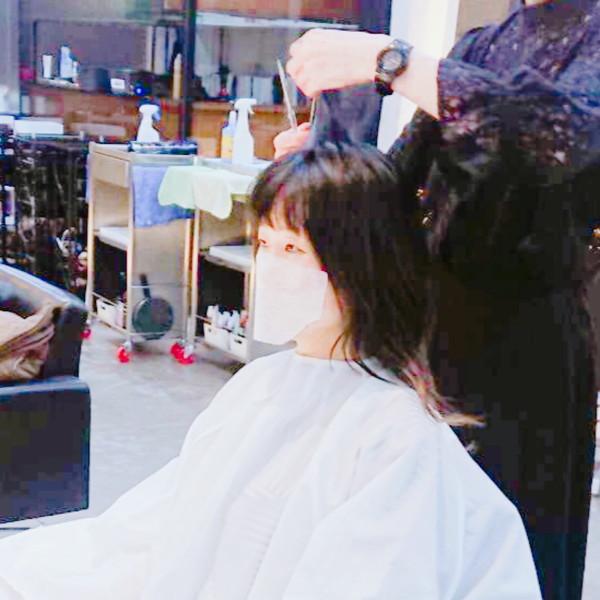 ハル・シールドII （20枚入）インフルエンザ 予防 送料￥250(3セットまで) |  | 03