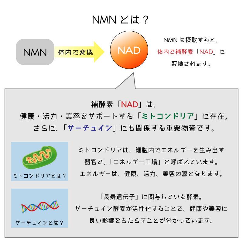 SBI BEST NMN 60粒 30日分 9000mg サプリメント 美容 健康 : arc reve