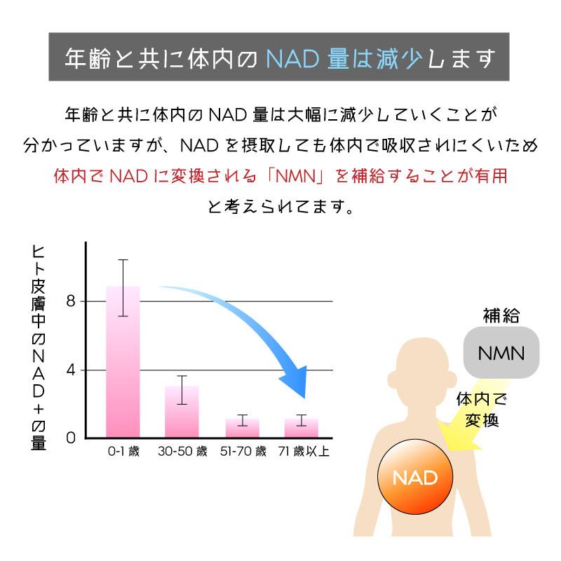 NMN PERFECT PRO スペシャルセット【未開封】 SBI BEST NMN 60粒 30日分 9000mg サプリメント 美容 健康 : arc reve