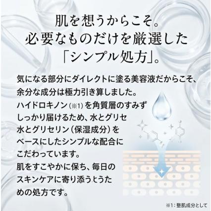 旭研究所 業務用 ハイドロキノン美溶液 10g 2本セット ハイドロキノン