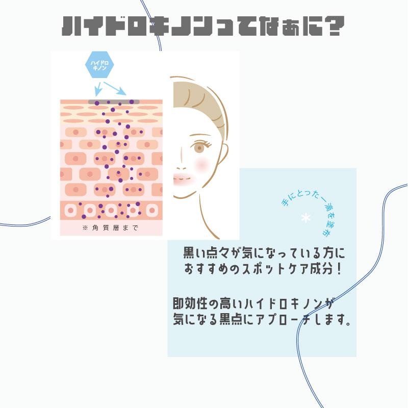 旭研究所 旭研 ハイドロキノン 業務用 美溶液 10g 高濃度