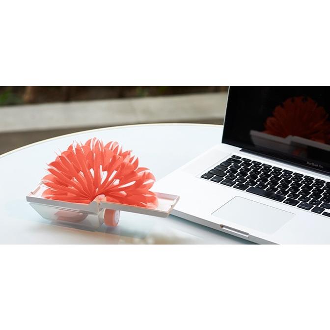 ミクニ ライフ&オート ちょこっとオアシス プラスシー +C 本体 加湿