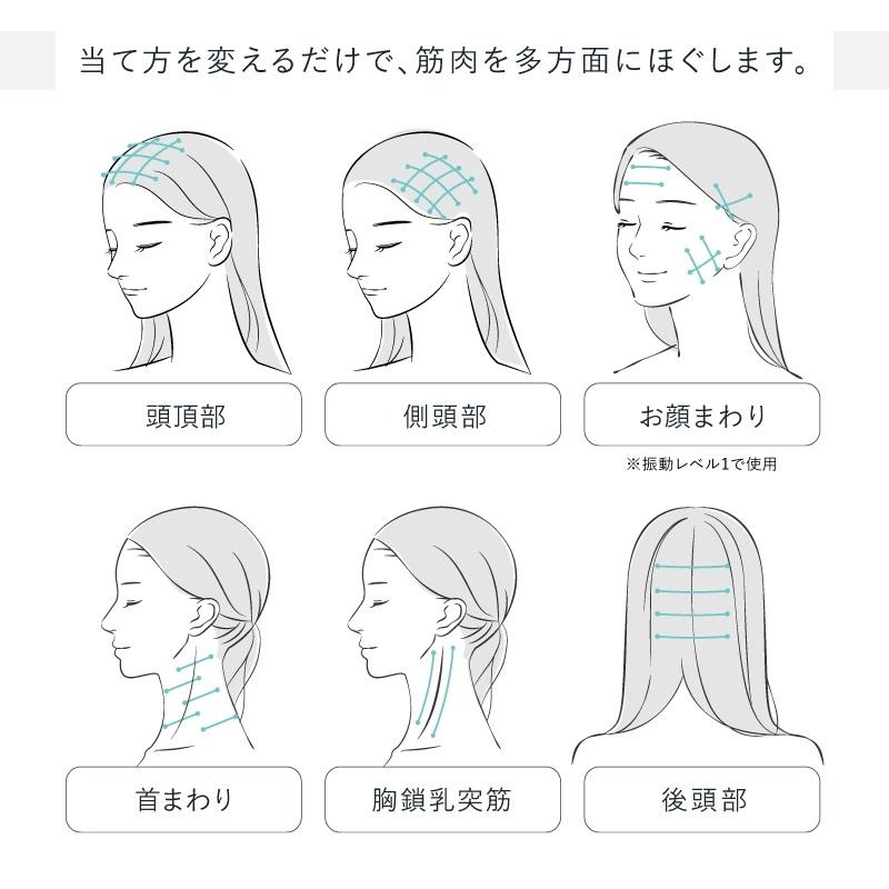 MYTREX（マイトレックス） MYTREX VIDO モーションブラシ 電気ブラシ