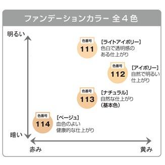 Papilio パピリオ セラムパウダーファンデーションEX リフィル 9g ※ケース・スポンジ別売肌色 美容液 パウダーファンデーション【メール便なら4点までOK】｜hattenba-store｜03