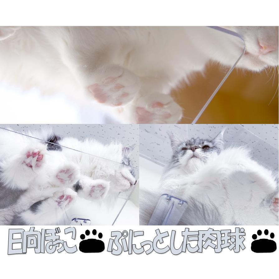 キャットステップ 窓用 1枚セット PE4022 タカラ産業 キャット 猫