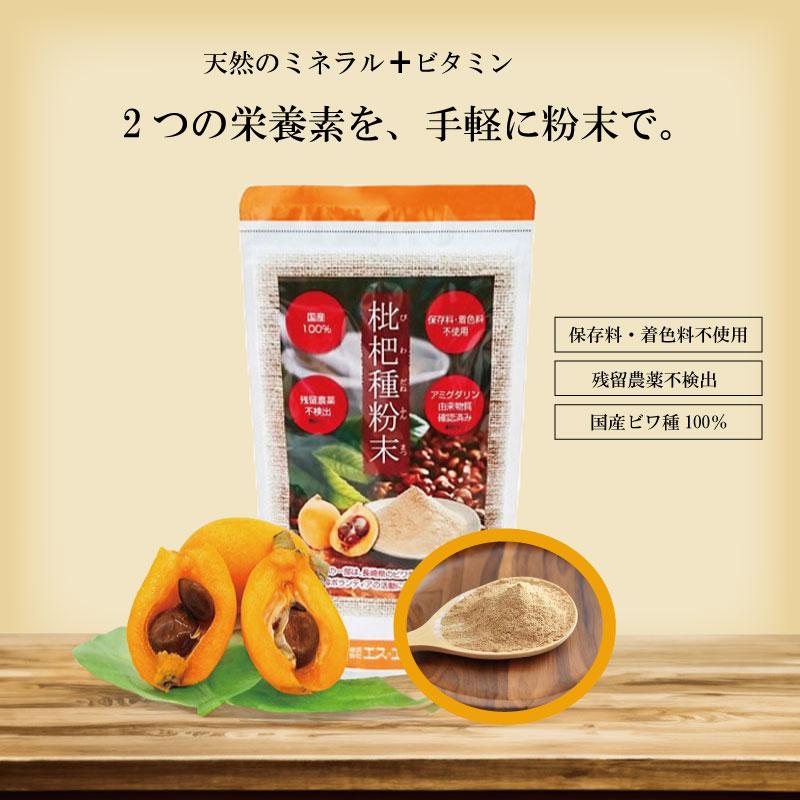枇杷種粉末 100g 3個セット びわ ビワ 枇杷 ビタミン ミネラル 枇杷種粉末 100g 3個セット びわ ビワ 枇杷 ビタミン ミネラル