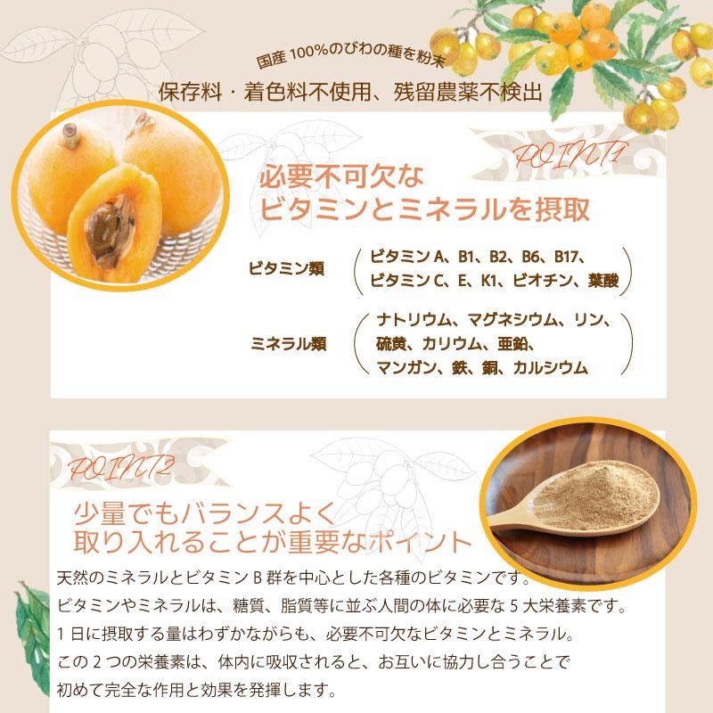 枇杷種粉末 100g びわ ビワ 枇杷 ビタミン ミネラル 国内産