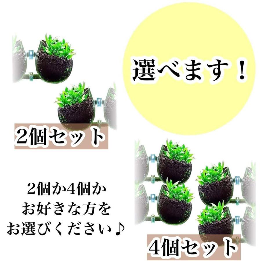 超大特価 D Stone アクアリウム 水槽 オーナメント インテリア かくれ家 ガラス 植物 無 ポット 透明 ４個 Shipsctc Org