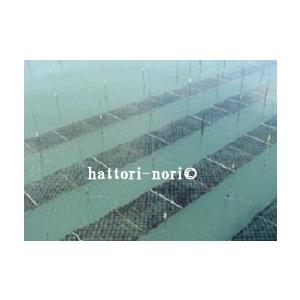 お試しセット 三大産地を食べ比べ 焼のり 知多 桑名 佐賀有明産 各１０枚計３０枚 海苔 メール便送料無料 0015 はっとり海苔 通販 Yahoo ショッピング