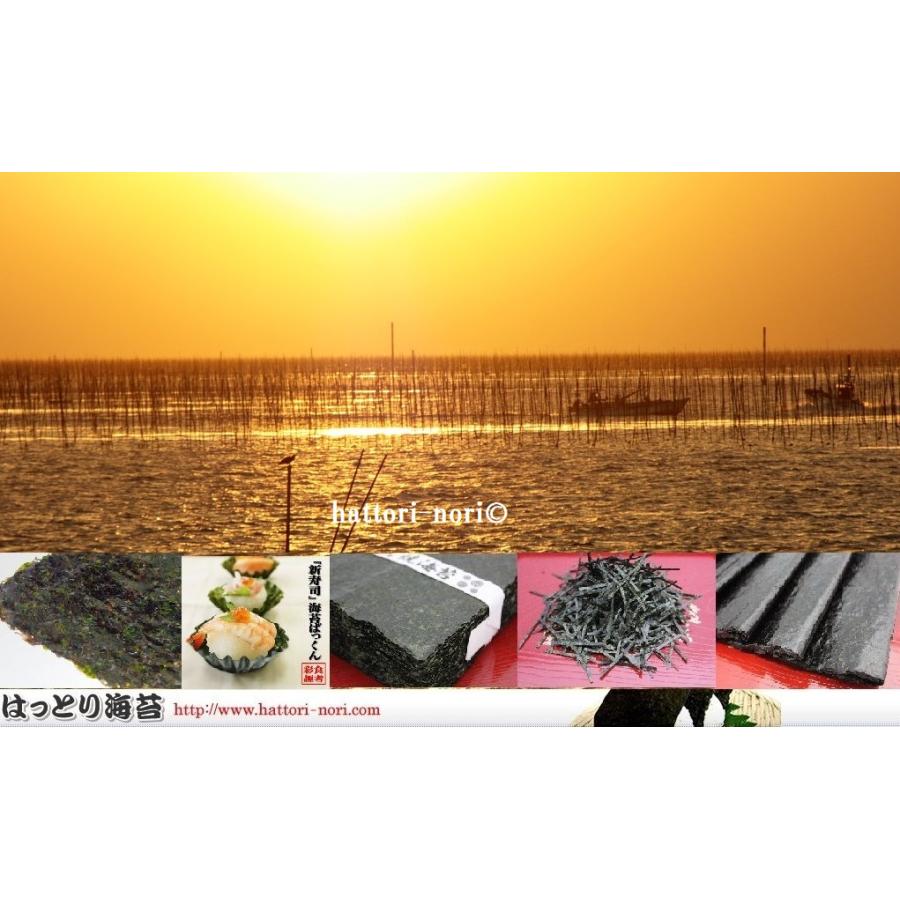 佐賀有明産　冷凍網　初摘み海苔　焼のり　100枚 　色艶パリっ　はっとり海苔 焼き海苔 冷凍網 初摘み海苔 佐賀有明産 黒艶 パリっ 焼のり 全型10