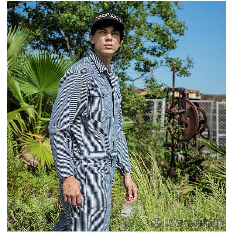 Dickies（ディッキーズ） つなぎ 長袖つなぎ ストレッチ ヒッコリー D