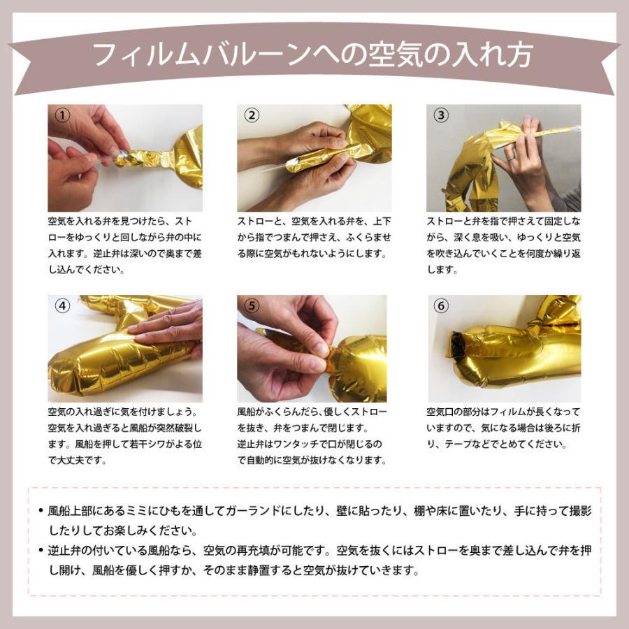 5枚セット】 フィルムバルーン 果物／野菜 1か月浮遊 Ibrex アイ