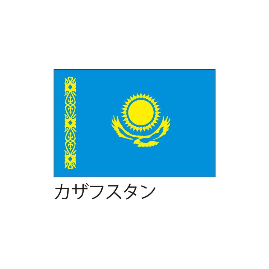 デニス・テンさん直筆サイン入りカザフスタン国旗 応援・装飾用国旗 カザフスタン 70×105cm : 服部株式会社 - 通販