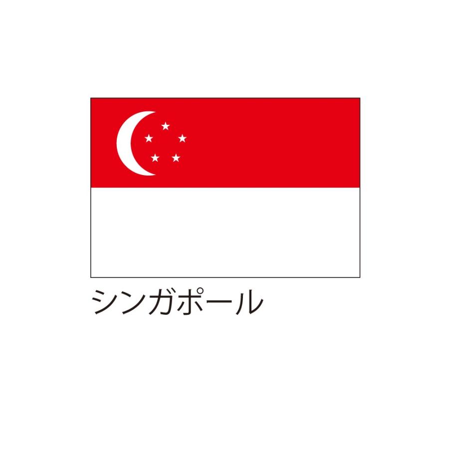 応援 装飾用国旗 シンガポール 90 135cm Flag0080 服部株式会社 通販 Yahoo ショッピング