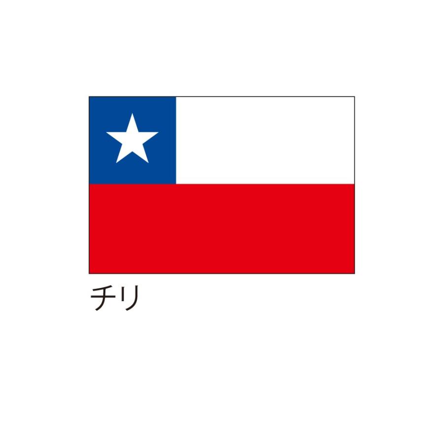 応援・装飾用国旗 チリ 90×135cm : 服部株式会社 - 通販 - Yahoo