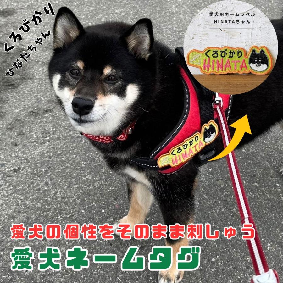 ユリウス ハーネス 名前 ユリウスk9 ネームタグ オーダー 迷子札