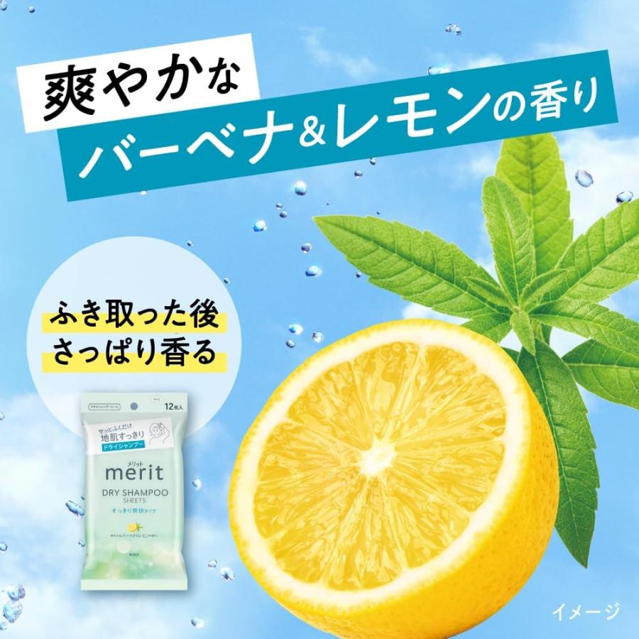 merit DAY+ ドライシャンプー 20本入り merit DAY+ ドライシャンプー