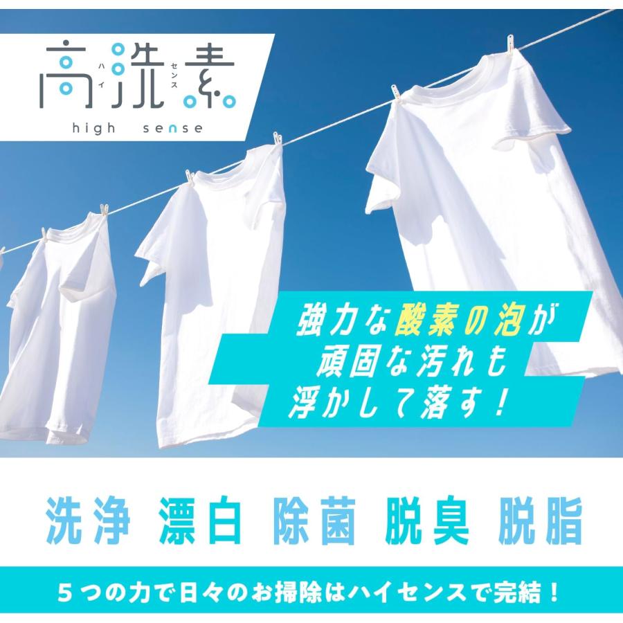 善玉菌本舗 高洗素 ハイセンス 1kg 日本製 酵素 洗浄剤 弱アルカリ性