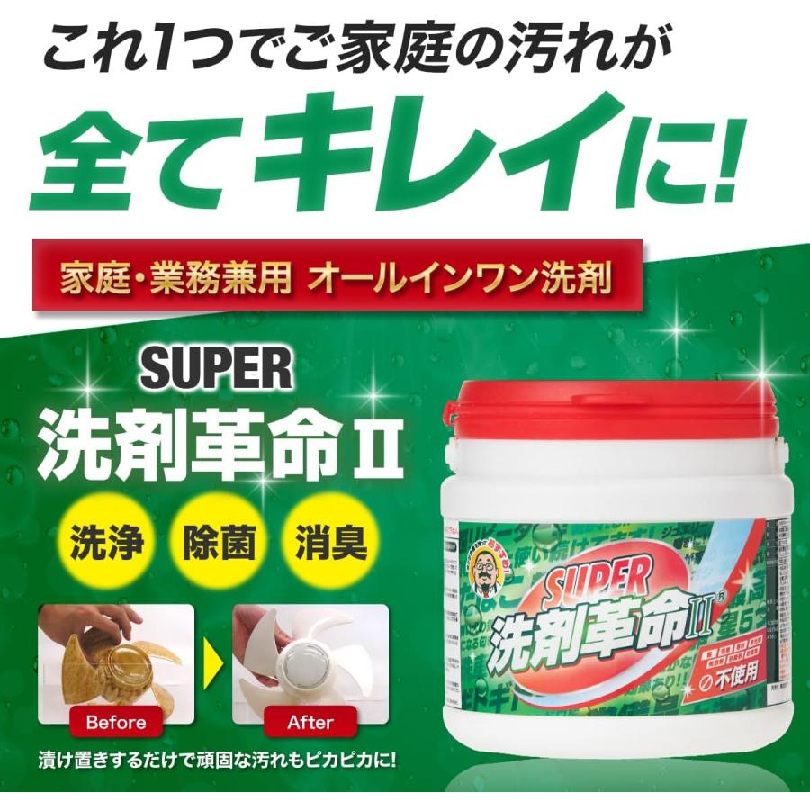 洗剤革命 洗濯洗剤 洗濯槽クリーナー 食器用洗剤 重曹 SUPER II 300g