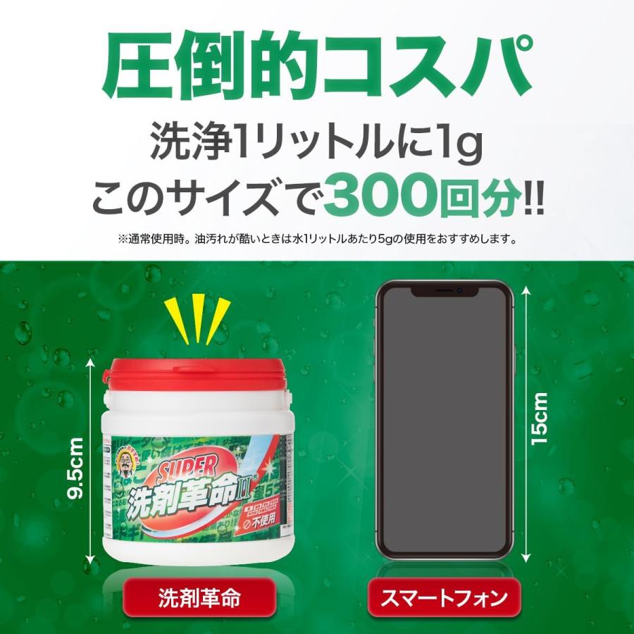 洗剤革命 洗濯洗剤 洗濯槽クリーナー 食器用洗剤 重曹 SUPER II 300g